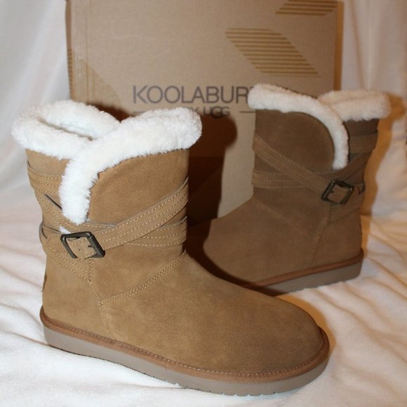 NIB UGG KOOLABURRA CLASSIC SHORT‎ BUCKLE SUEDE BOOTS CHESTNUT - Picture 2 of 7